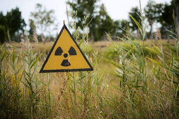 Černobilj 38 godina kasnije: Priroda se oporavlja, životinje razvijaju otpornost na radijaciju