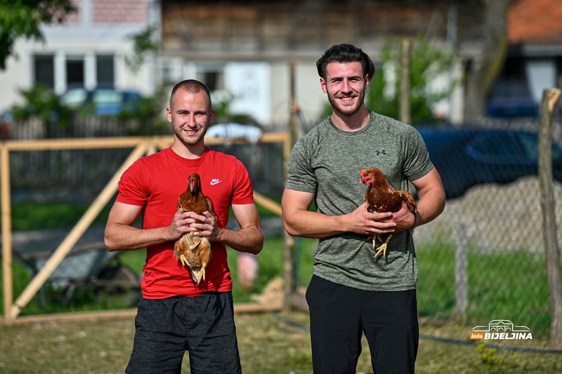 Jedinstvena farma u Semberiji: Imaju 600 koka nosilja, jaja prodaju i na društvenim mrežama (FOTO)