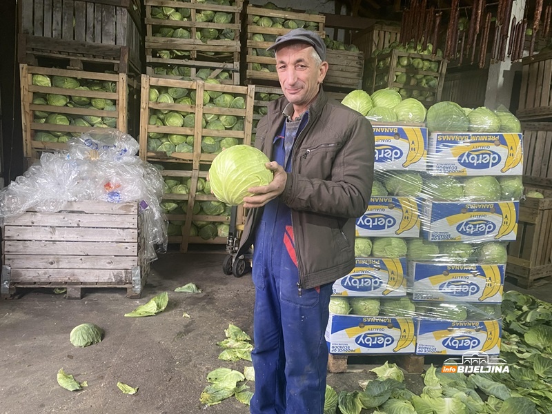 Semberski povrtari čekaju bolju priliku: Nadali se zaradi, a kupus pet puta jeftiniji (FOTO)