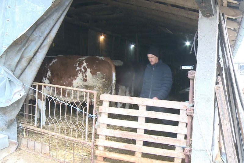 Lopare daju u zakup svoje parcele poljoprivrednicima: Moguće ih dobiti i besplatno, uz samo jedan uslov (FOTO)