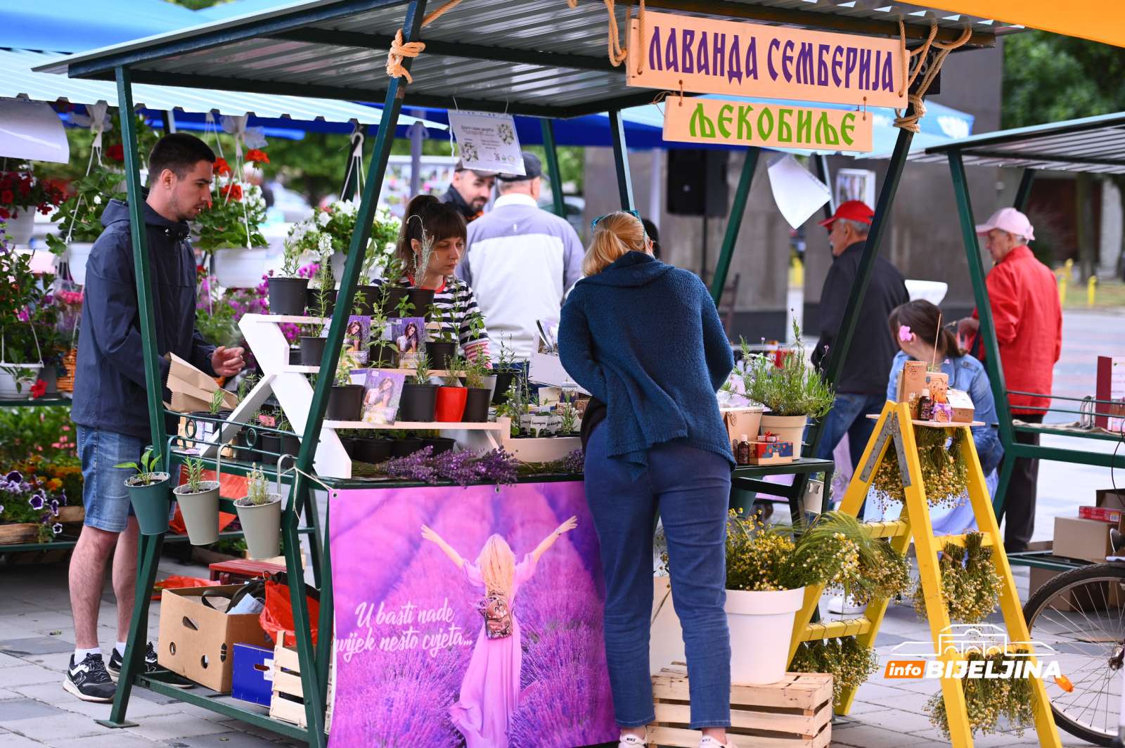 PRIRODA NAS VOLI - I LJEPOTA JE POTREBNA OVOM SVIJETU Lavanda Semberija na Sajmu cvijeća u Bijeljini