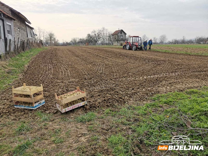 Semberski povrtari optimistični: U punom jeku sjetva ranog povrća i krompira, đubrivo jeftinije, otkupna cijena veća