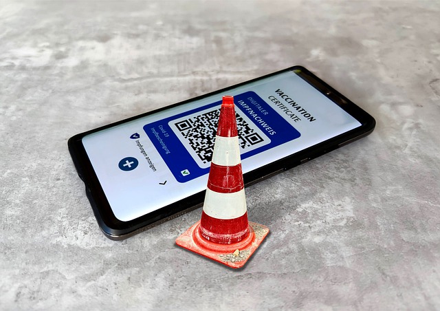 U Švajcarskoj otkriveno 8.000 lažnih covid potvrda