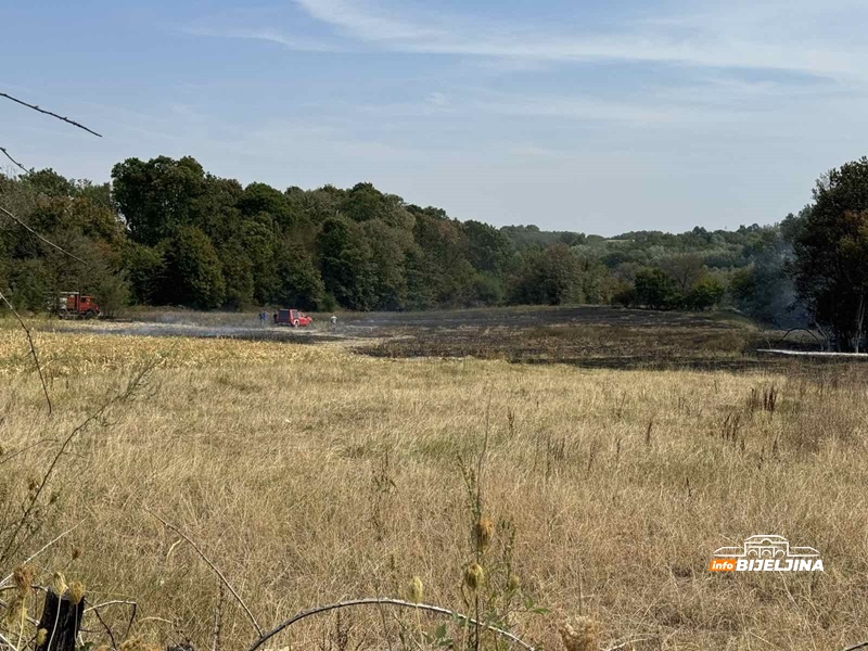 Požar kod Bijeljine, na terenu vatrogasci (FOTO)