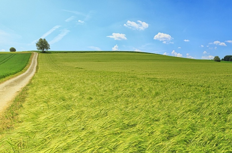 Sutra sunčano i toplo, temperatura i do 30 stepeni