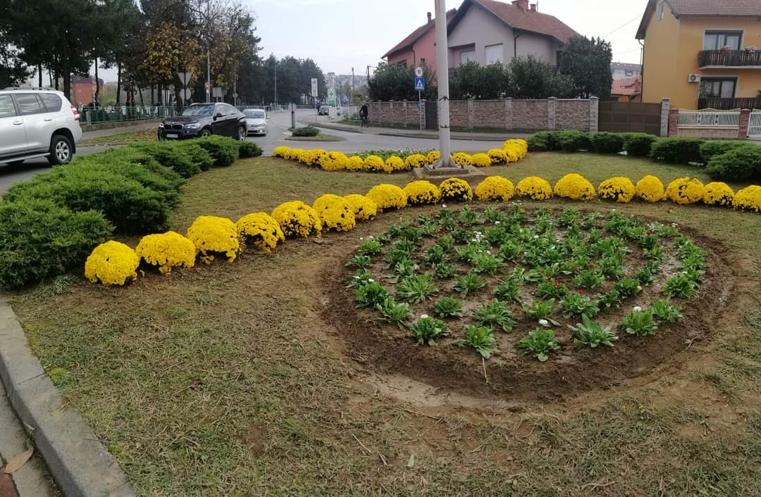 Kružni tokovi u Bijeljini ukrašeni cvijećem (FOTO)