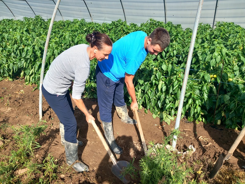 InfoBijeljina u Velikoj Obarskoj: Plastenici uništeni, letjeli i krovovi (FOTO)