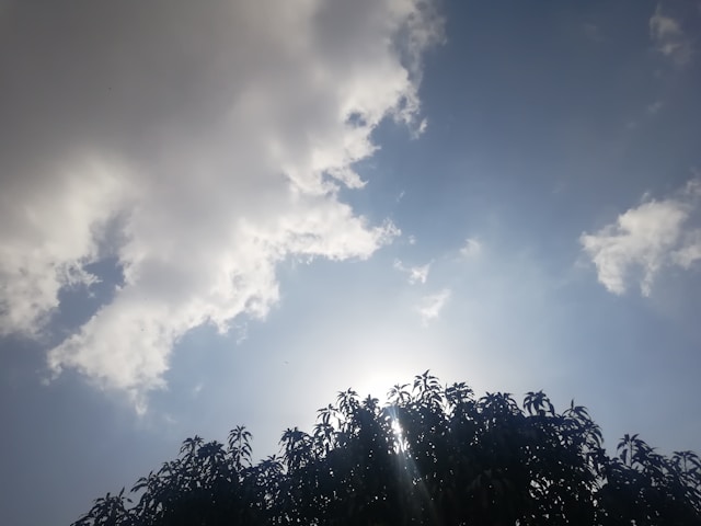 Sutra pretežno oblačno, posle podne kiša