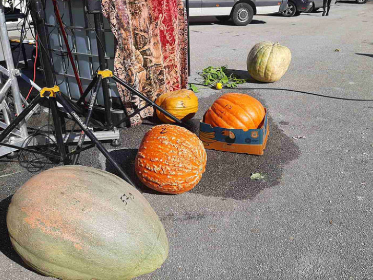 Tikva teža od unučadi! Milanko iz Foče pobijedio na „Danima tikve“ u Istočnom Sarajevu