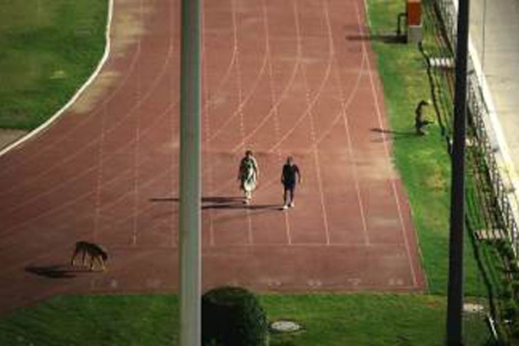 Uticajni supružnici zatvorili stadion da bi šetali psa