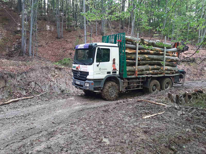 Radnici u Šumama dobiće sve zaostale plate do kraja februara