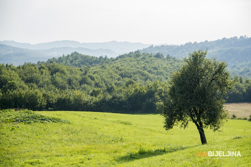 Sunčano i toplo