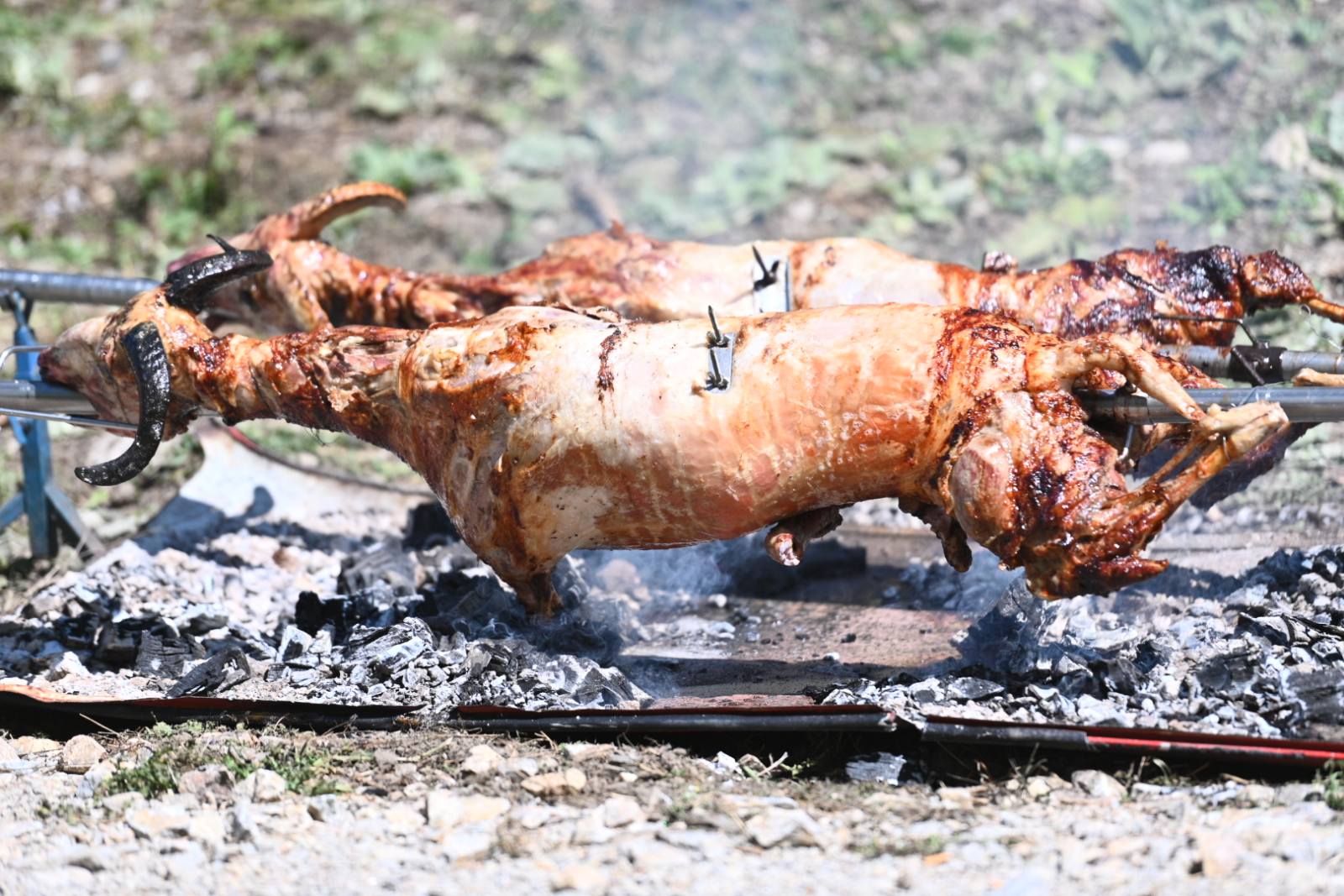 U Milićima se održava treća „Jagnjijada“ – mjesto dobrog druženja, muzike i odlične trpeze! (FOTO)