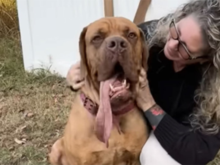 Pas Ozi oborio Ginisov rekord!