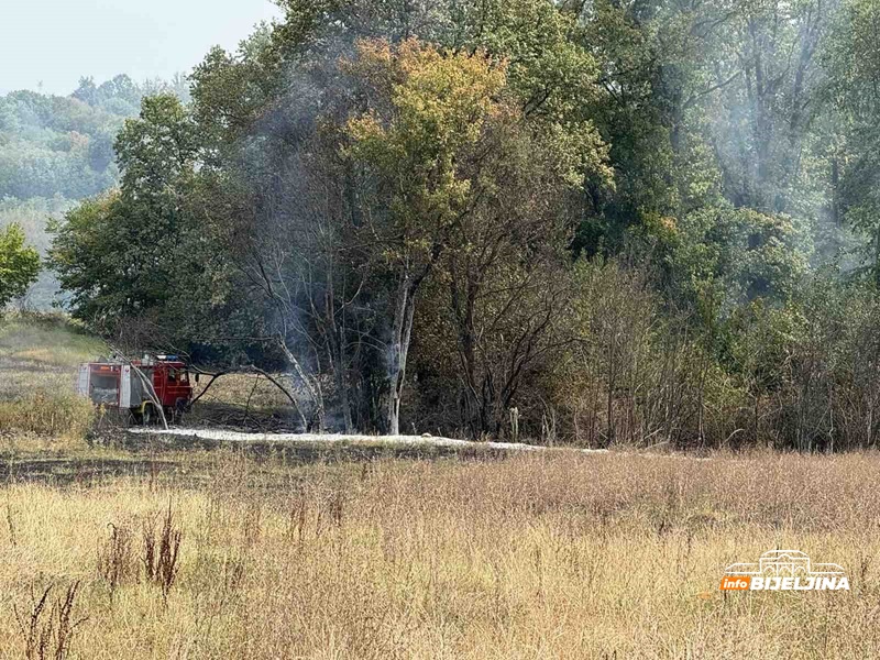 Požar kod Bijeljine, na terenu vatrogasci (FOTO)