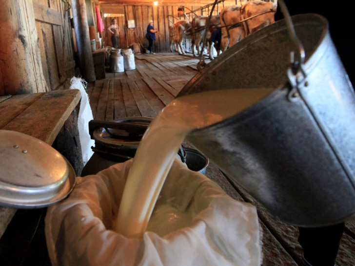 Mljekari u Srpskoj najavljuju smanjenje proizvodnje: Vlada RS najavila nove mjere i kampanju