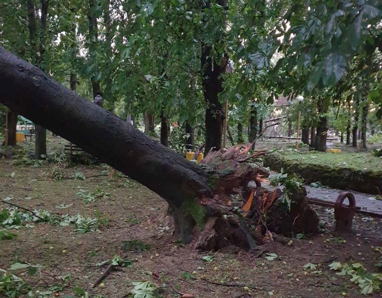 Oluja rušila stabla i u Banji Dvorovi: Bazeni sutra neće raditi (FOTO) 