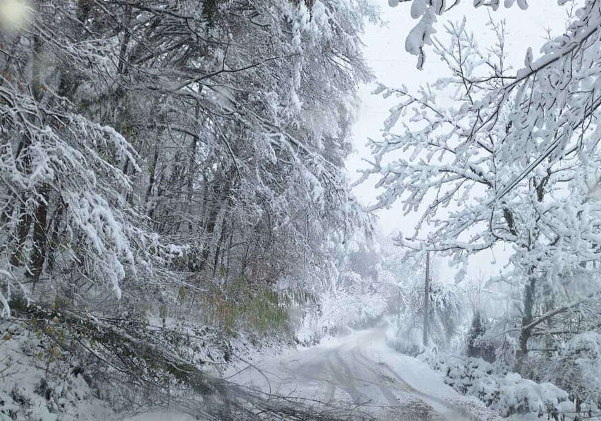 Ovaj datum DONOSI SNIJEG, a evo od čega zavisi hoćemo li imati PRAVU ZIMU
