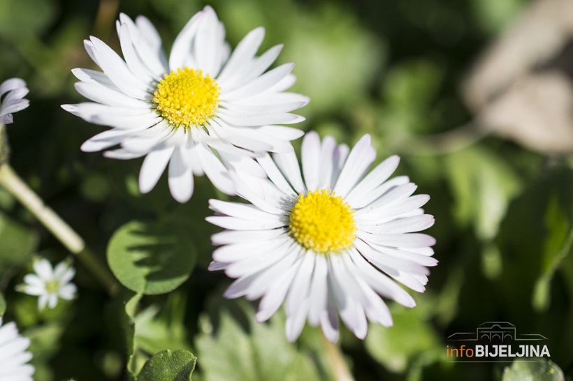 Kakvo vrijeme nas očekuje narednih dana?