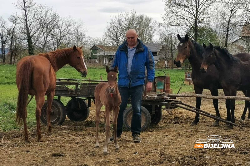 Zanimljivost iz semberskog sela Popovi: Kobila Džiju Džica ukazala da dolazi lijepo vrijeme