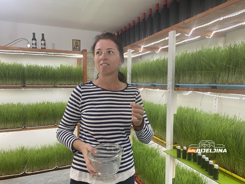 Supružnici Pejić iz Bijeljine prave sok od spelte: “Koriste ga dijabetičari, ljudi sa pritiskom, holestorolom…” (FOTO)