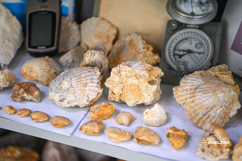 Semberija krije fosile Panonskog mora: Svijet koji je nestao prije miliona godina /FOTO; VIDEO/