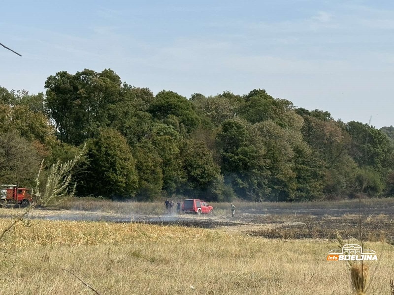 Požar kod Bijeljine, na terenu vatrogasci (FOTO)