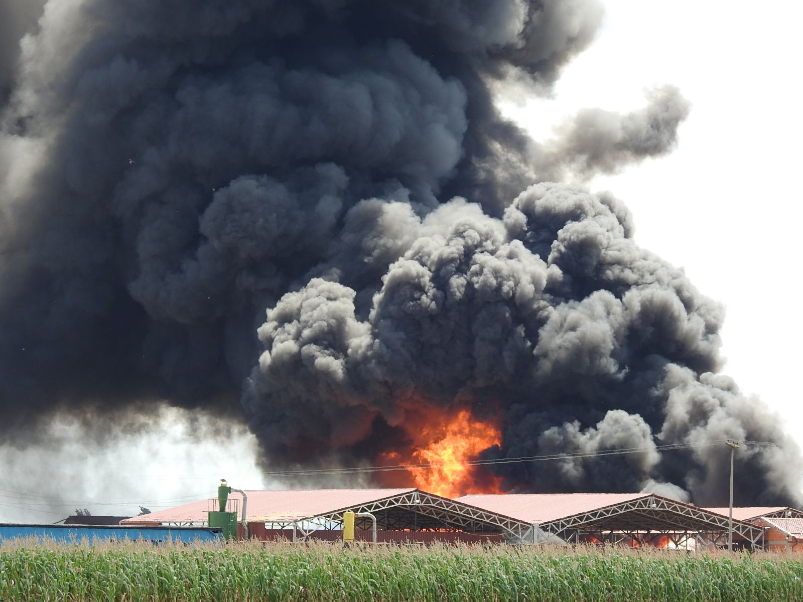 Pogledajte razmjere dramatičnog požara u Brocu (FOTO, VIDEO) 