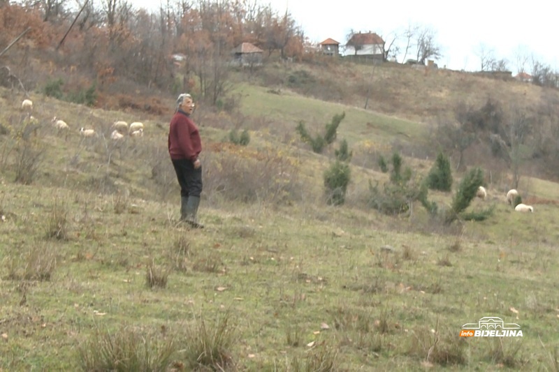 Penzioner bez pritiska i holesterola: Slavko Midić iz Tobuta hobijem održava zdravlje i puni novčanik
