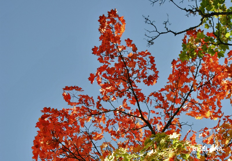 Kakvo vrijeme nas očekuje do kraja septembra