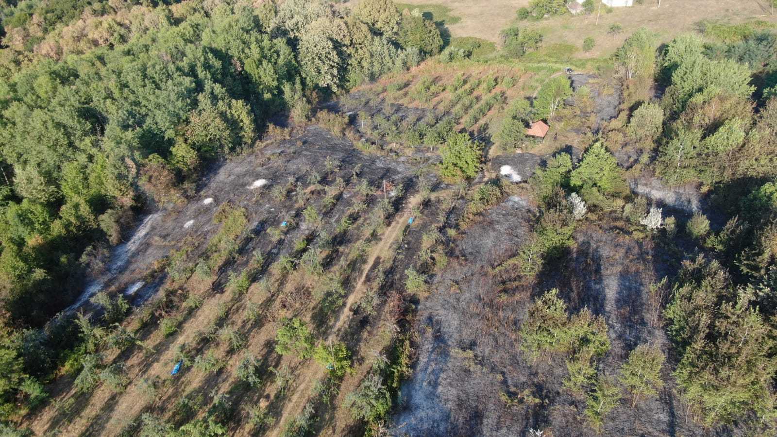 Vatrogasci uspješno ugasili dva velika požara na Majevici