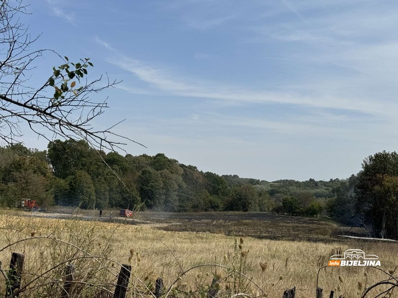 Požar kod Bijeljine, na terenu vatrogasci (FOTO)