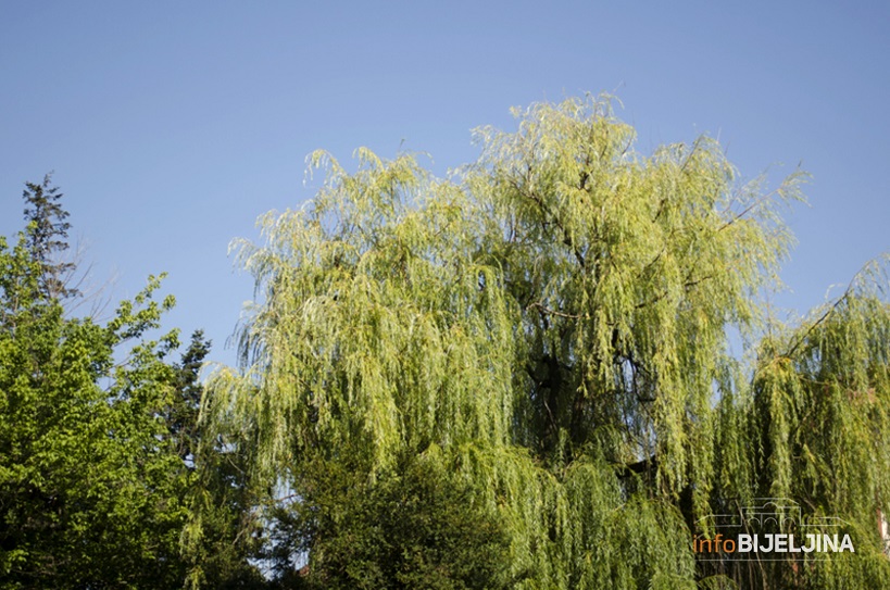 Sutra vedro i toplije, temperatura do 30 stepeni