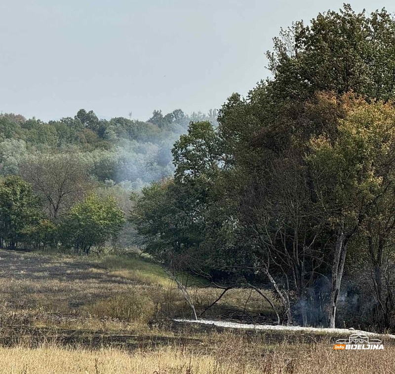 Požar kod Bijeljine, na terenu vatrogasci (FOTO)