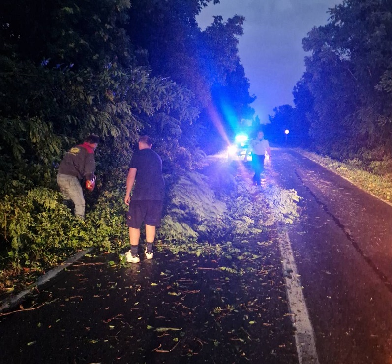 Nadležne službe na nogama: Više od 40 ljudi angažovano na čišćenju terena u Bijeljini (FOTO, VIDEO)