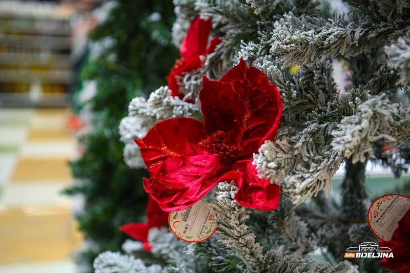Bijeljinci se spremaju za novogodišnje praznike: U prodaji i jelka od 270 cm (FOTO)