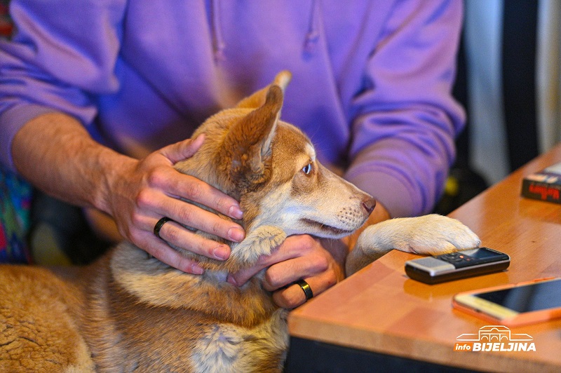 „Pet friendly“ kafići u Bijeljini olakšica za vlasnike kućnih ljubimaca (FOTO)