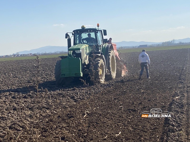 Napreduje ozima pšenica u Semberiji, ali joj prijeti opasnost: “Simptome možemo uočiti tek u proljeće”