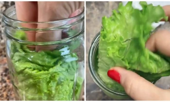 Jednostavan trik: Kako da vam zelena salata ostane svježa i do mjesec dana