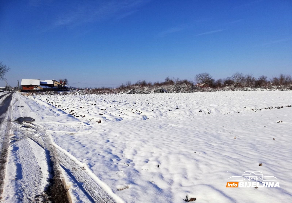 Ozimi usjevi u dobrom stanju - Semberske ratare brinu poskupljenja repromaterijala (FOTO)