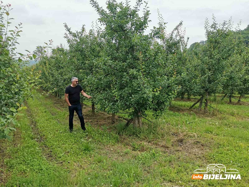 Pustoš u voćnjacima: Grad i nepovoljni vremenski uslovi uništili do 70% voća na Majevici