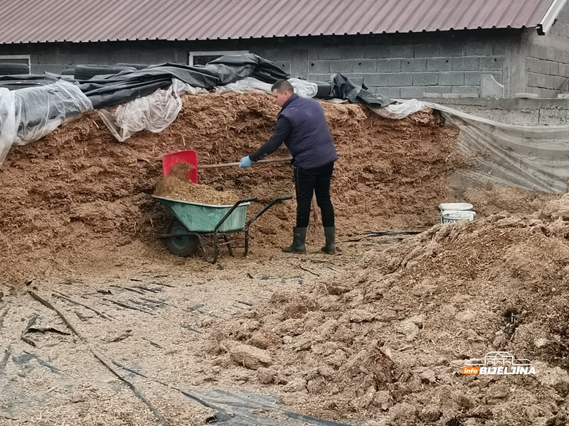 Amajlije neće doživjeti sudbinu drugih sela: Cvijetin ima stan u gradu, ali čim dođe s posla ide u štalu (FOTO)