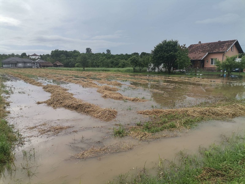 Glogovac pogođen nevremenom, voda ušla u podrume i domove (FOTO)