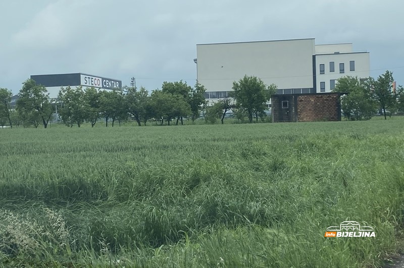 Kiša stvara haos u njivama u Semberiji: Lema i fuzarioza prijete pšenici, hitno potrebna zaštita