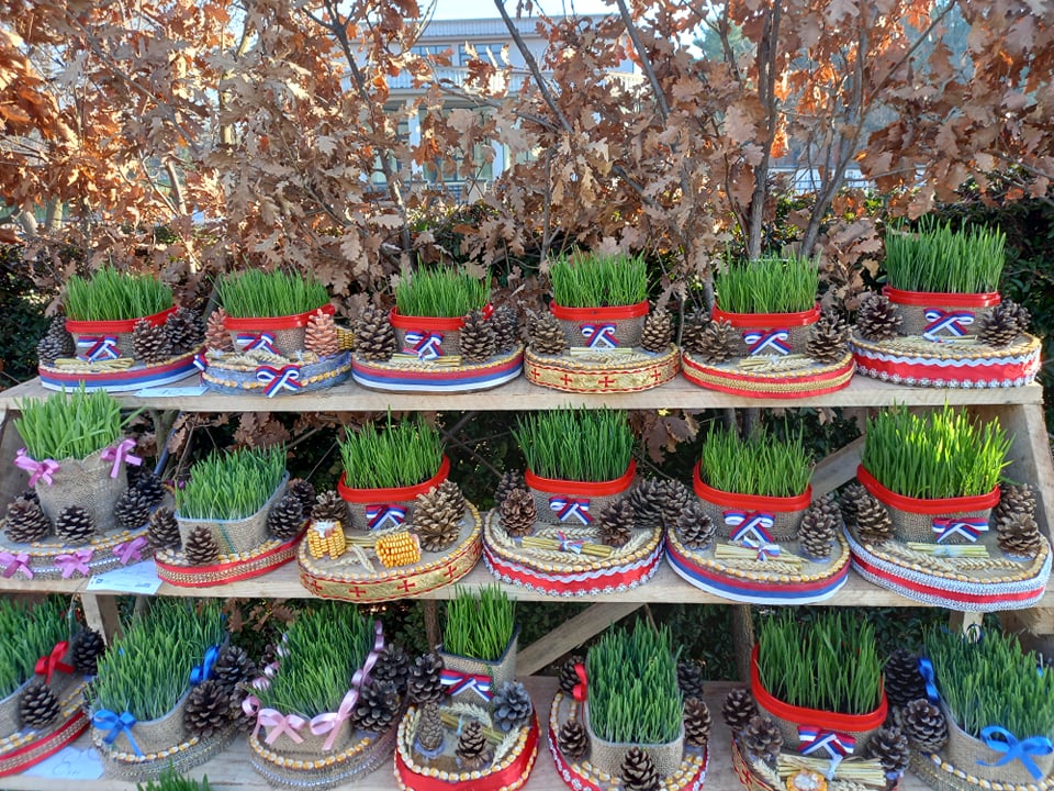 Na bijeljinskim ulicama izloženi badnjaci, cijena već od 1 KM (FOTO)