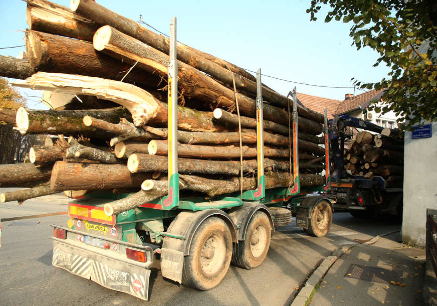 Ovo su DIREKTORI GUBITAŠI u JP 