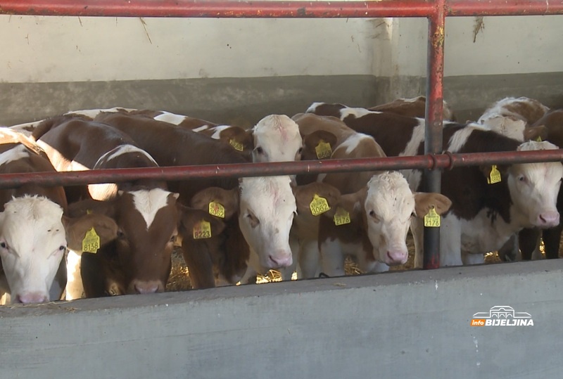 Semberski poljoprivrednik traktor vrijedan 160.000 platio 60.000 KM: “Ne vidim matematiku da se ide u Njemačku”