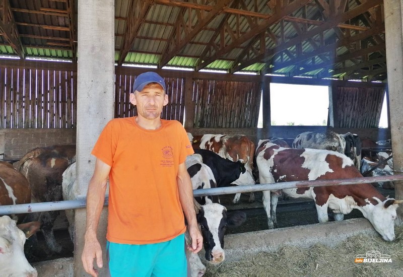 Semberski farmer Blagiša Nikolić dnevno proizvede 1.400 litara mlijeka: Od poljoprivrede se može solidno živjeti (FOTO)