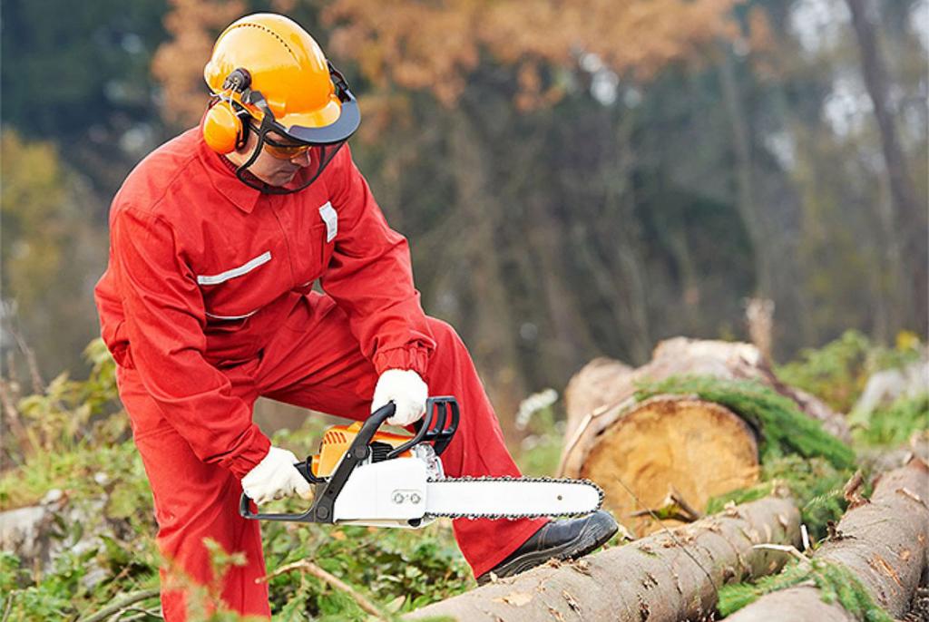 Životi radnika u šumarstvu i građevinarstvu na kocki