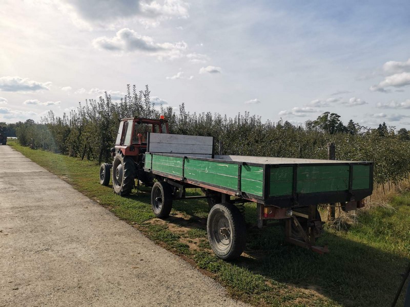 Semberski voćari zbrajaju gubitke (FOTO)